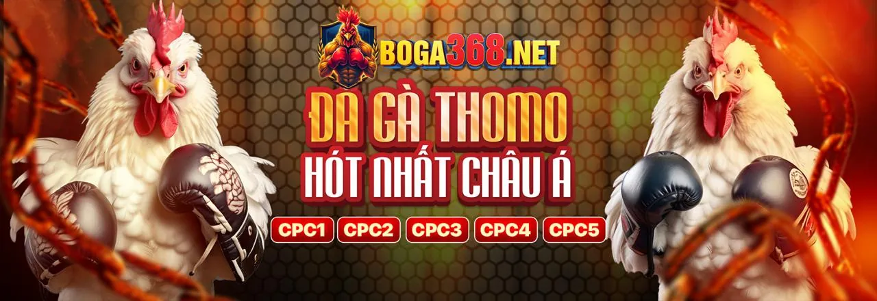 Đá gà trực tuyến kịch tính tại 55xin88 nhà cái
